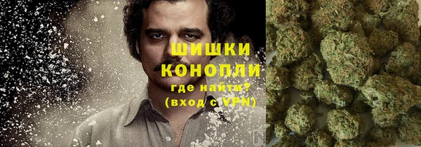 кокс Белокуриха