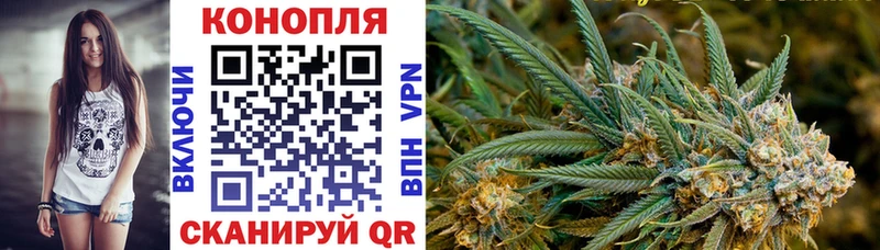 Бошки марихуана Bruce Banner  Первомайск 